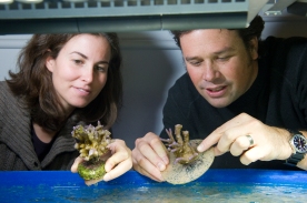 Liz Hemond and Prof. Vollmer at the Marine Science Center