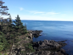 View of the Bay of Fundy from a beautiful coastal trail in Quoddy Head State Park