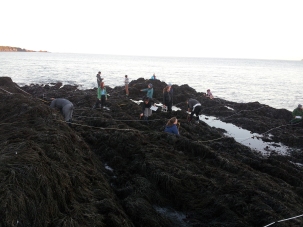 Exploring the expansive intertidal for Marine Ecology class surveys
