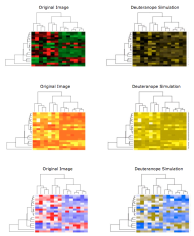 A comparison of heatmaps made using some common color schemes: red, black and green (top left), default heatmap colors in R yellow to red (middle left) and red & blue (bottom left), along with their corresponding simulation for red/green deficit on the right.