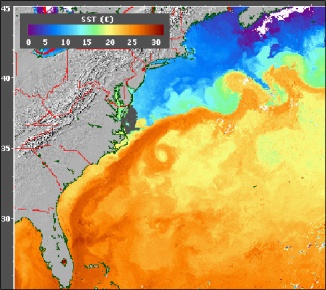 Sea surface temperature data collected by NOAA satellites. Notice the dark orange band indicating the warm Gulf Stream. (Image from www.science.nasa.gov)