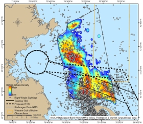 A map of Stellwagen Bank National Marine Sanctuary. Dots represent right whale sightings, solid lines indicate previous shipping lanes, dotted lines indicate new shipping lanes. stellwagen.noaa.gov