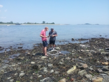 Students reference their self-made field guides to ID species during a rocky shore survey on Georges Island