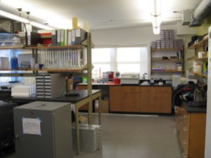 Our shiny new lab space at the Northeastern MSC! So many shelves and drawers and windows!