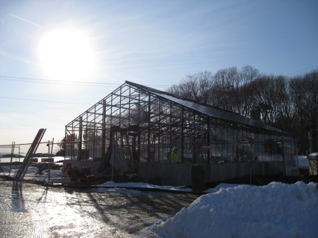 The new Hughes greenhouse, to be completed this spring, just in time for collecting marsh plants!