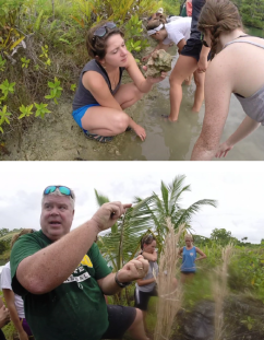 Top: Hollis Jones inspects a coral skeleton. That muddy rock has been around for longer than human civilization. Bottom: Bill talks about the history of Bocas reefs and explains how we can use coral fossils to tell us about the natural world of the past. (photo credit: Janine Ledet)