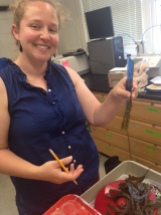 Kylla Benes measuring fucus reproductive effort.